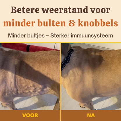 Buddy Guard | Complete Gezondheid