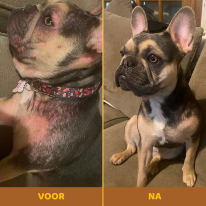 Buddy Guard | Anti-Jeuk