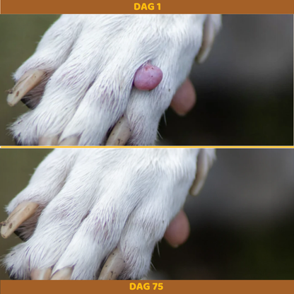 Buddy Guard – Tegen Vetbulten bij Honden