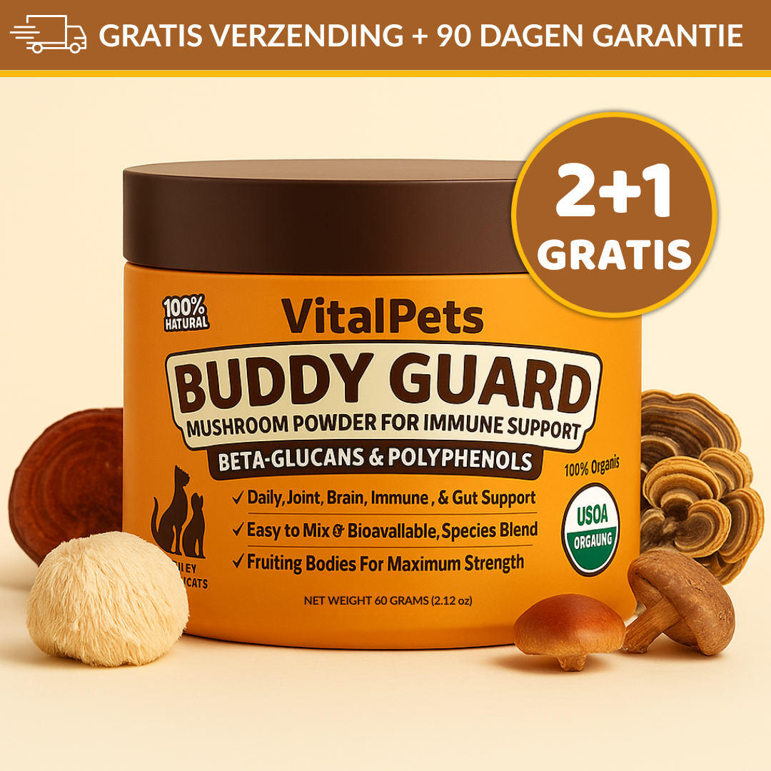 Buddy Guard | Bright Powder