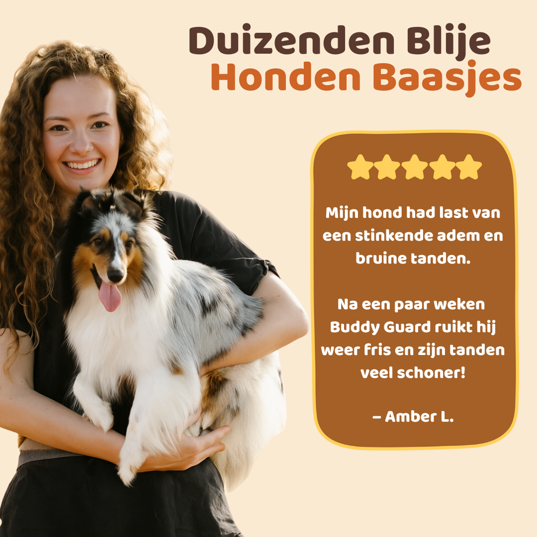 Buddy Guard | Bright Powder