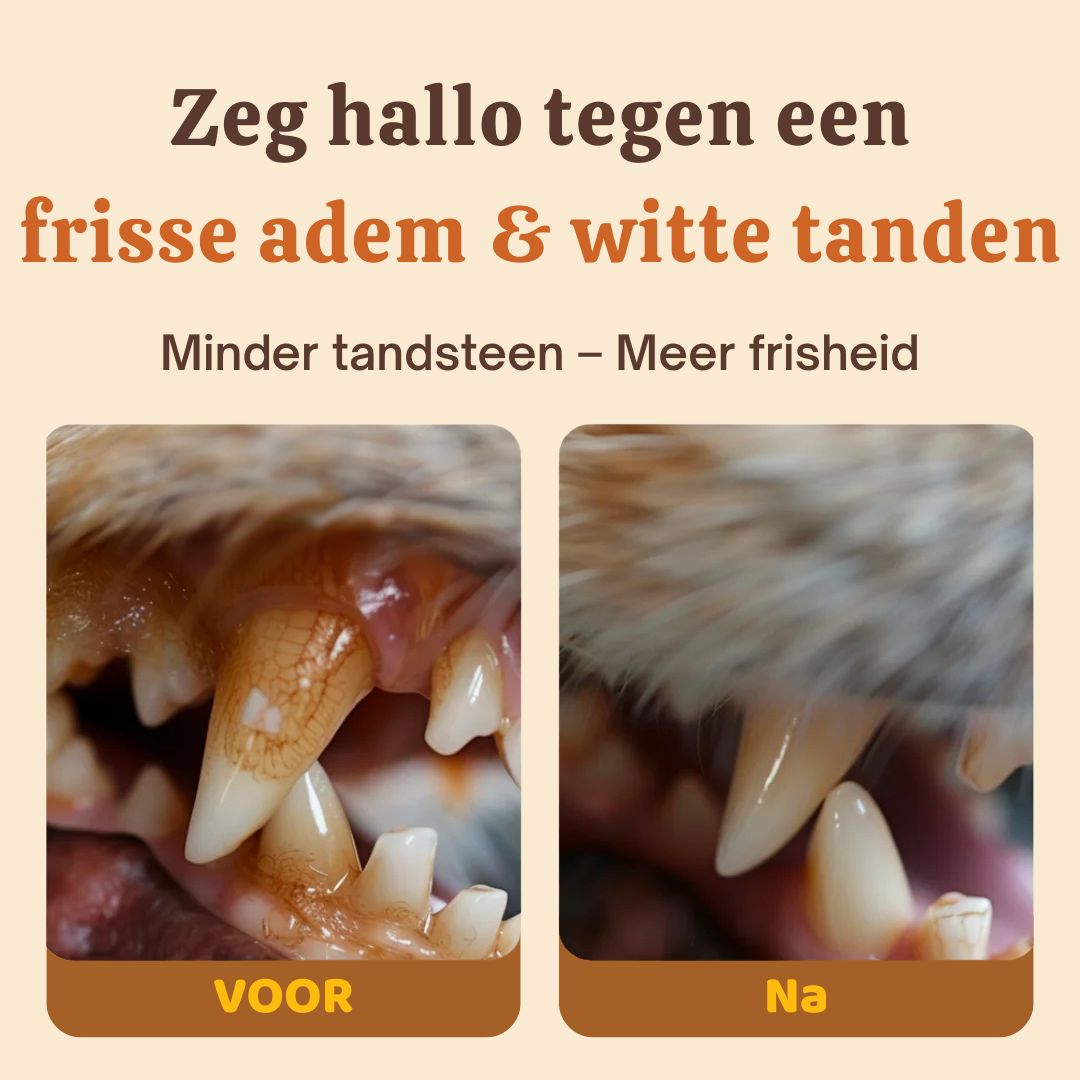 Buddy Guard | Bright Powder