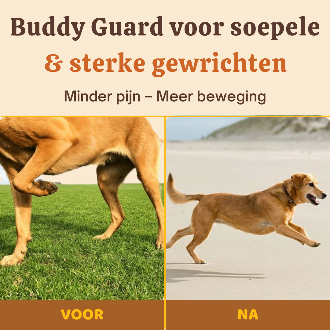 Buddy Guard | Complete Gezondheid