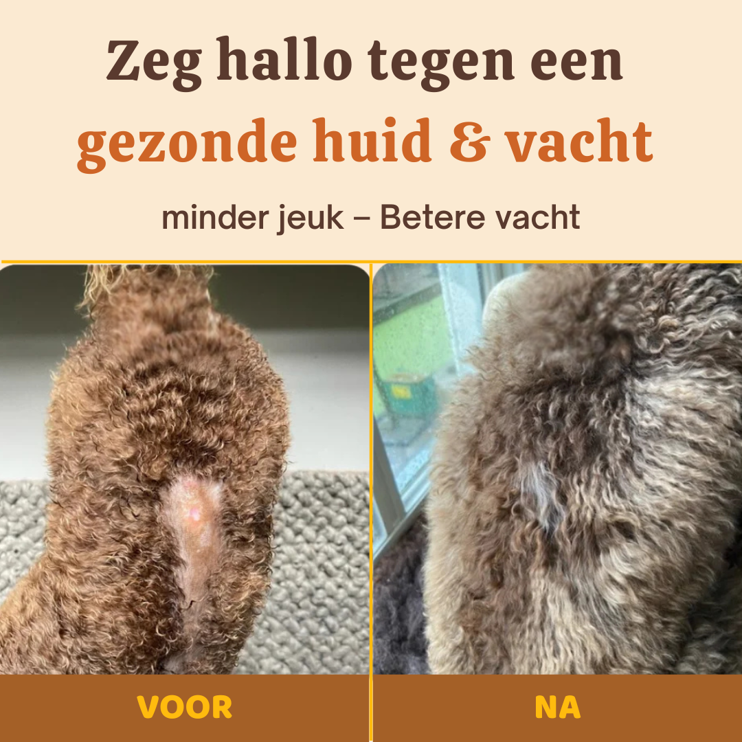 Buddy Guard | Complete Gezondheid