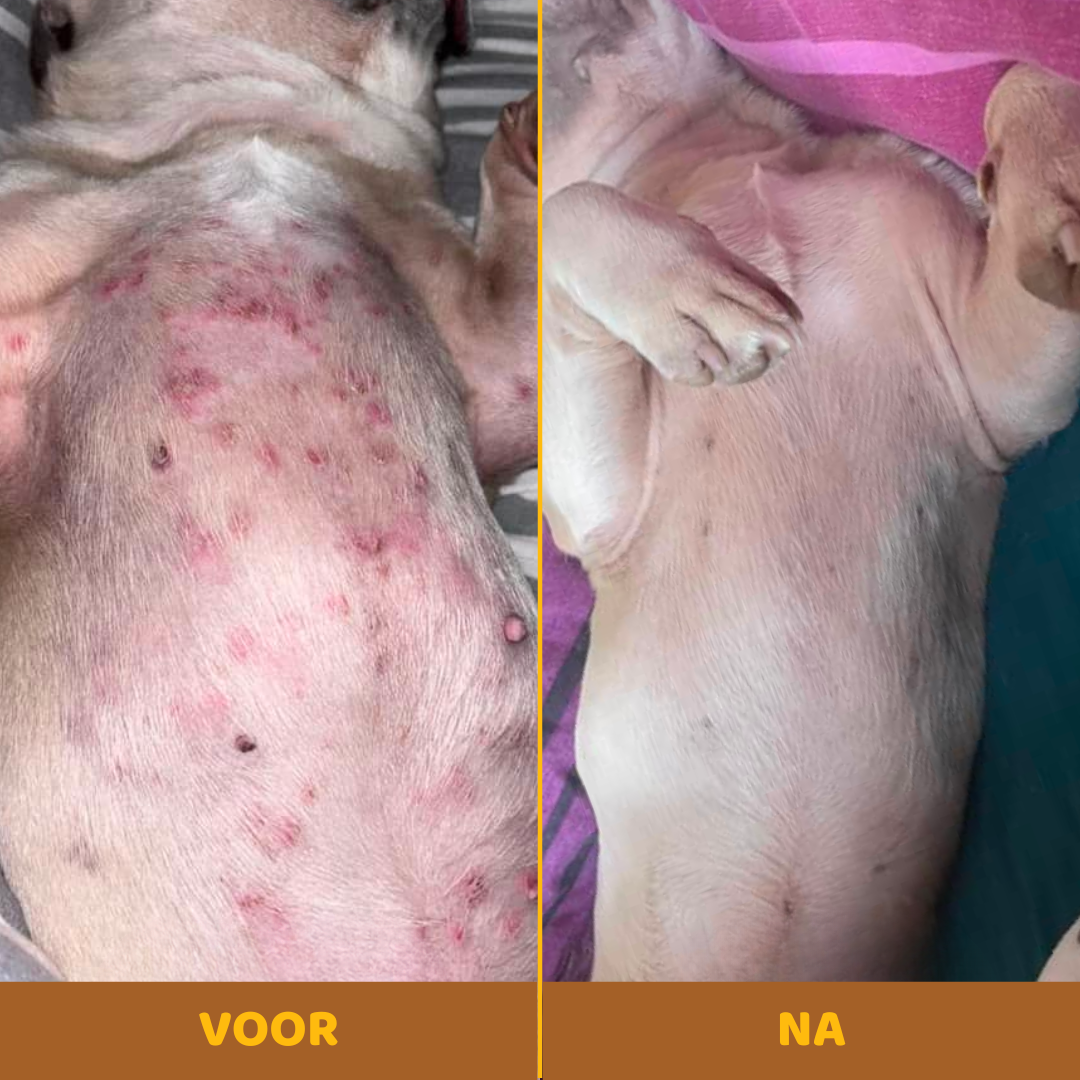 Buddy Guard | Anti-Jeuk