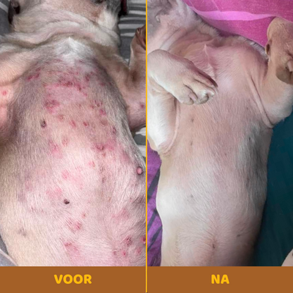 Buddy Guard | Anti-Jeuk