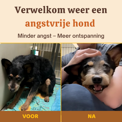 Buddy Guard | Complete Gezondheid