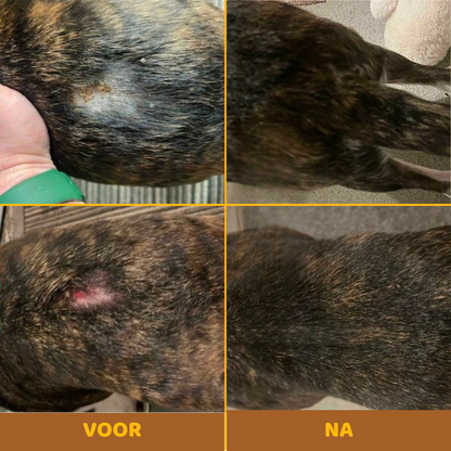 Buddy Guard | Anti-Jeuk